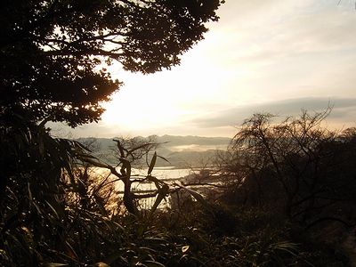 view view